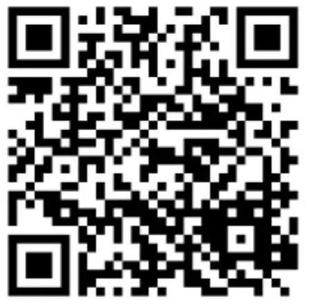公寓 Easy Host Apt Pigneto Digital Nomad Friendly *
